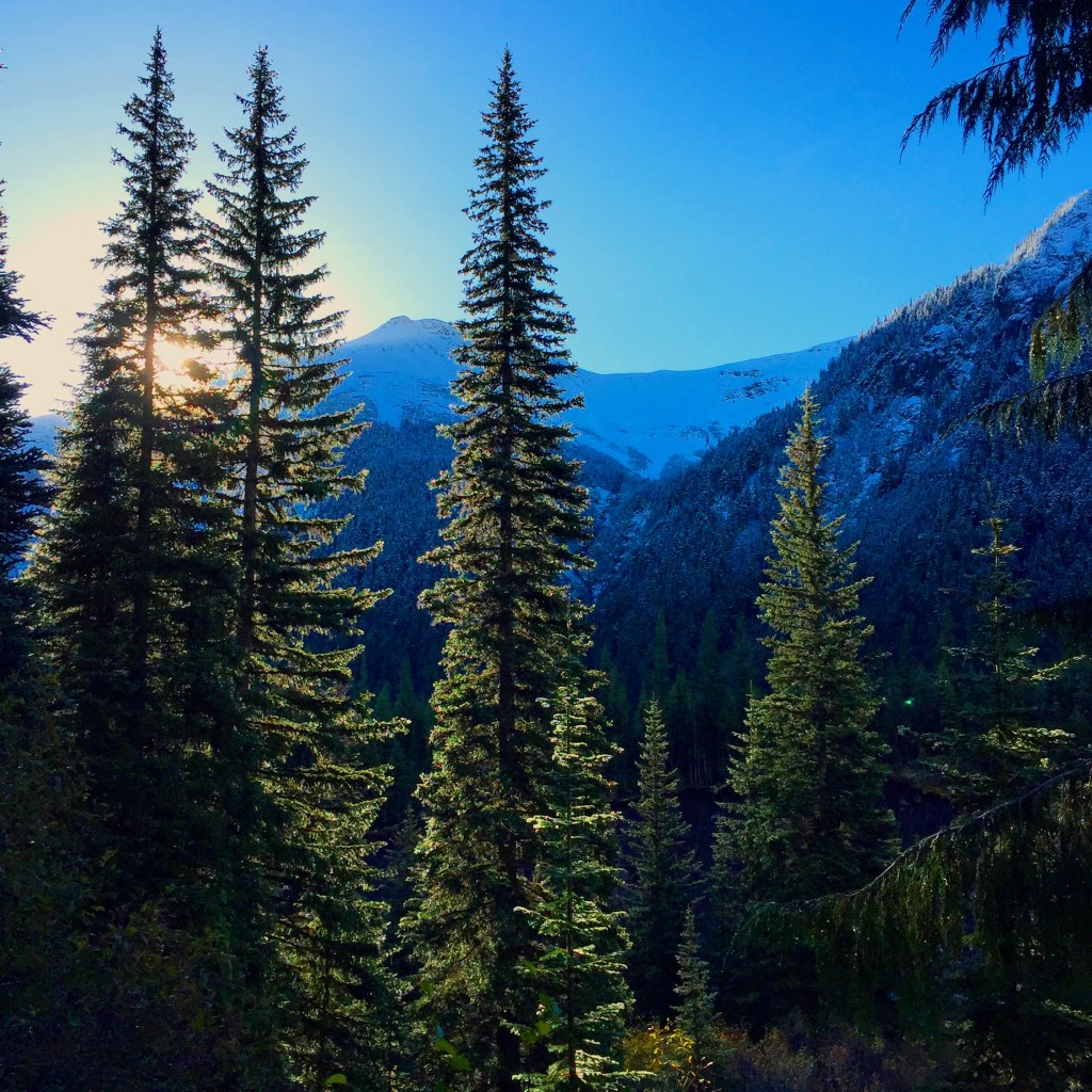 A Sampling of the Pacific&nbsp;Northwest